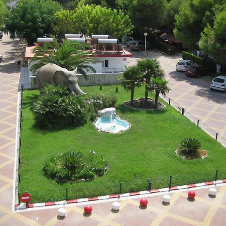 Camping L'Alqueria Gandia Luaran gambar
