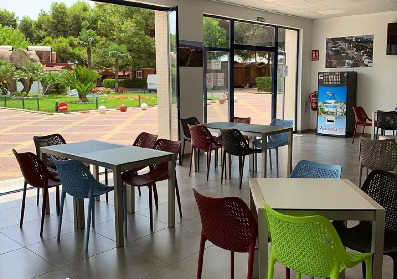 Camping L'Alqueria Gandia Luaran gambar